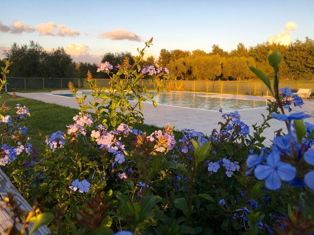 Agriturismo L'Antica Quercia ポマランチェ エクステリア 写真